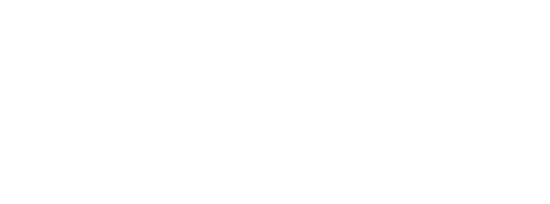 Vivid logo